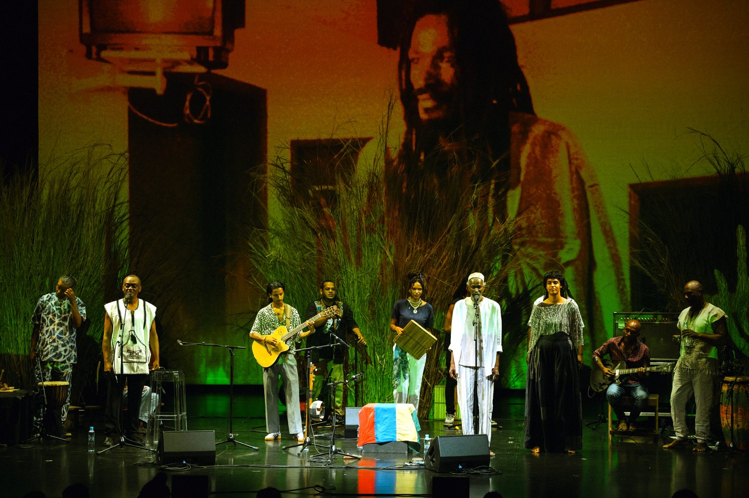 the ensemble under the kaya projection